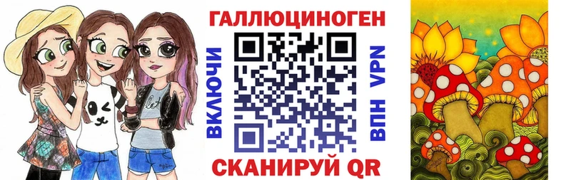 магазин  наркотиков  Поронайск  Галлюциногенные грибы Psilocybe 